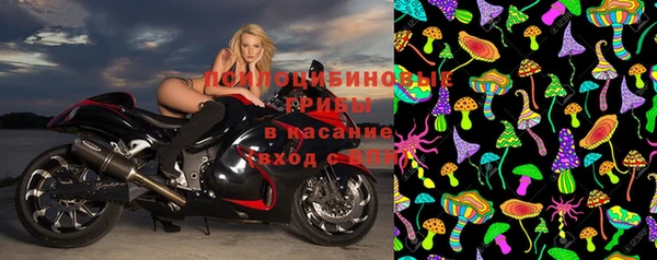 PSILOCYBIN Абаза