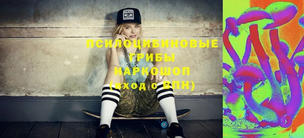 прущие грибы Семилуки
