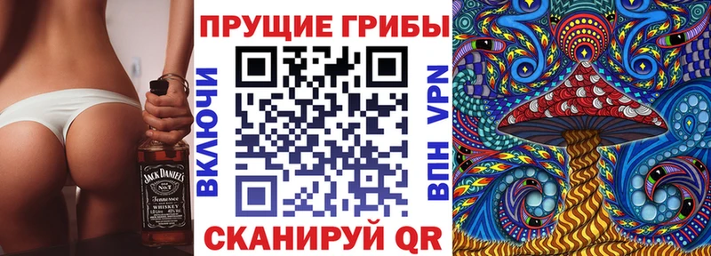 Галлюциногенные грибы Psilocybe  Венёв 
